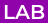 Lab Type Icon
